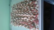 Неопаковани  плетени гривни от жива вълна зелено и оранжево - 100 бр