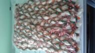 Неопаковани  плетени гривни от жива вълна зелено и оранжево - 100 бр